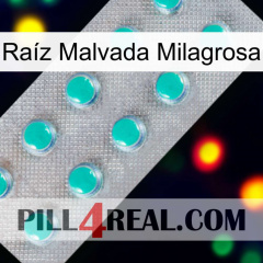 Raíz Malvada Milagrosa 28